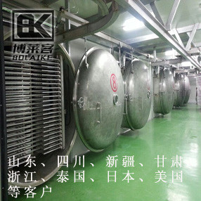 Freeze-drying project (large size)